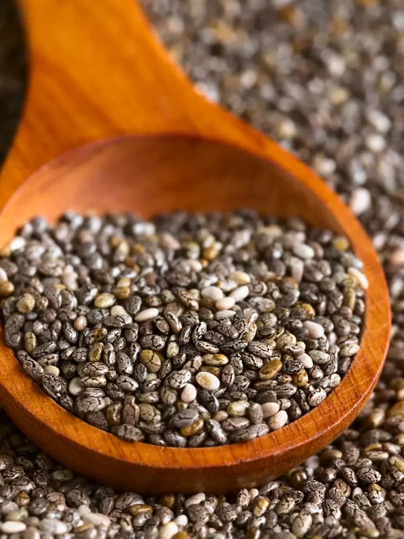 Chia graines